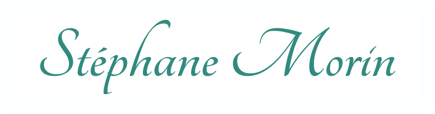 Stephane Morin Therapie De Couple Rennes Logo Stephane Footer